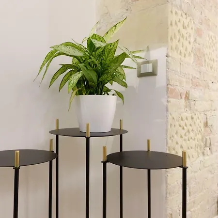 Orma Design - Historic Centre 3* كالياري